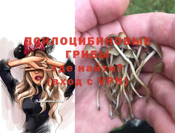 амф Абаза