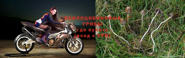амф Абаза