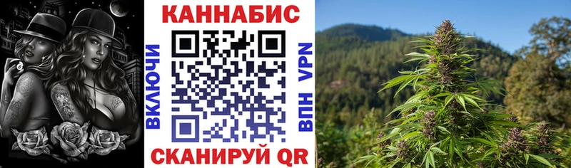 как найти наркотики  Белая Калитва  мориарти формула  Каннабис THC 21% 